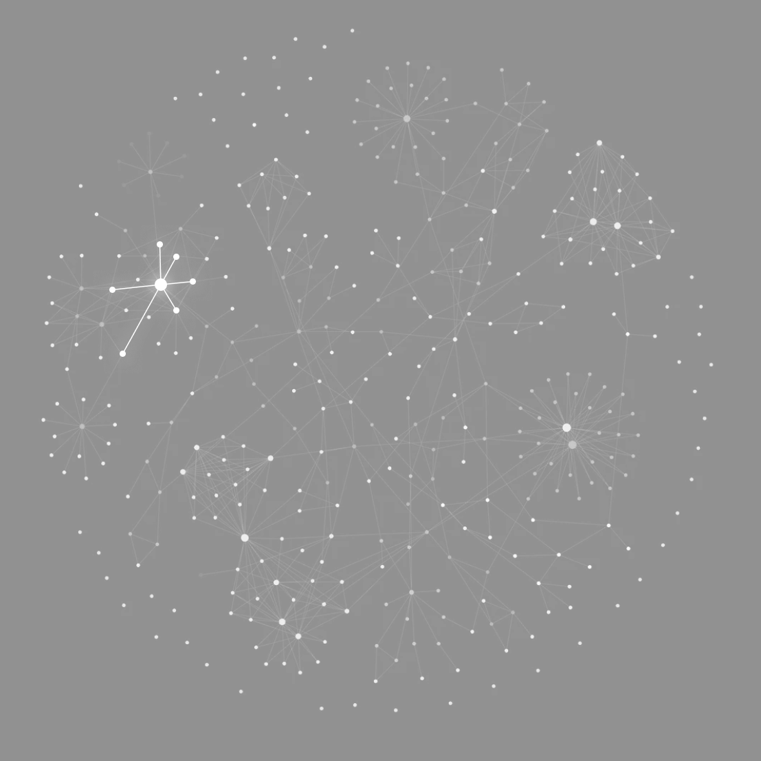 Interactive Network Graph